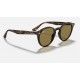 RB2180
Lenses: Brown Classic B-15  +  Frame: Tortoise