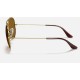 AVIATOR CLASSIC
Lenses: Brown Classic B-15  +  Frame: Gold