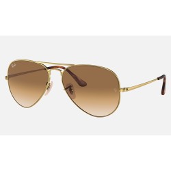 AVIATOR METAL II
Lenses: Light Brown Gradient  +  Frame: Gold