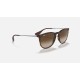 ERIKA CLASSIC
Lenses: Brown Gradient  +  Frame: Tortoise