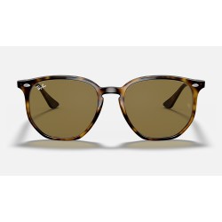 RB4306
Lenses: Dark Brown Classic B-15  +  Frame: Tortoise