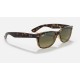 NEW WAYFARER CLASSIC
Lenses: Polarized Blue/Green Gradient  +  Frame: Tortoise