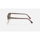 CLUBMASTER OVAL
Lenses: Polarized Brown Classic B-15  +  Frame: Mock Tortoise