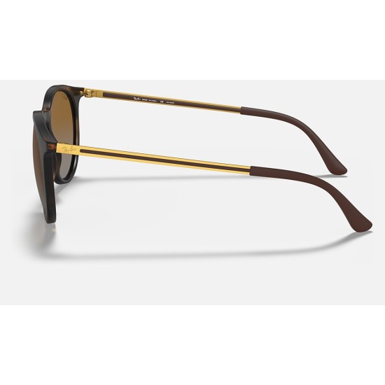 RB4274
Lenses: Polarized Brown Gradient  +  Frame: Tortoise