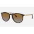 RB4274
Lenses: Polarized Brown Gradient  +  Frame: Tortoise