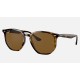 RB4306
Lenses: Polarized Brown Classic B-15  +  Frame: Light Tortoise
