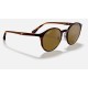 RB4336CH CHROMANCE
Lenses: Polarized Brown Classic  +  Frame: Striped Red Havana